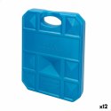 Wkład do Lodówki Aktive Niebieski 1 kg 18,5 x 24 x 3,3 cm (12 Sztuk)