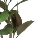 Roślina Dekoracyjna Polietylen Żelazo PEVA Dub 76 cm