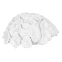 Figurka Dekoracyjna Biały Koral 23 x 22 x 11 cm