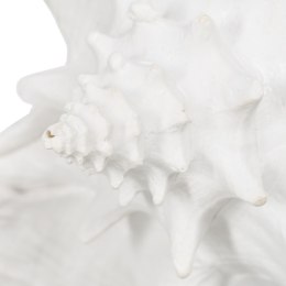 Figurka Dekoracyjna Biały Ślimak morski przodoskrzelny 21 x 19 x 13 cm