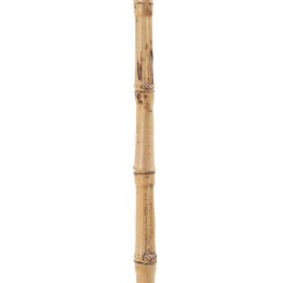 Gałąź Bambus 7 x 7 x 190 cm