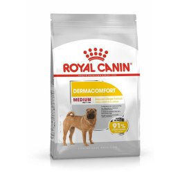Karma Royal Canin Dorosły Mięso 12 kg