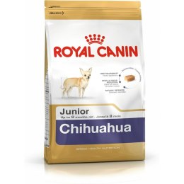 Karma Royal Canin Breed Chihuahua Junior Szczeniak/Junior 1,5 Kg
