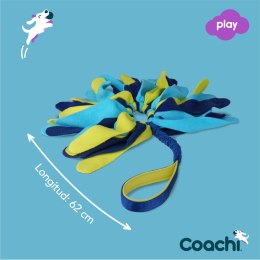 Training toy Coachi TUGGI SPIDER Niebieski