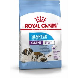 Karma Royal Canin Giant Starter Mother & Babydog 15 kg