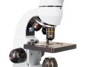 (PL) Mikroskop cyfrowy Levenhuk Rainbow D50L PLUS 2M, Moonstone\Kamień księżycowy