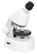 (PL) Mikroskop Levenhuk Discovery Micro z książką