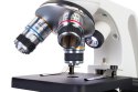 (PL) Mikroskop cyfrowy Levenhuk Discovery Femto Polar z książką