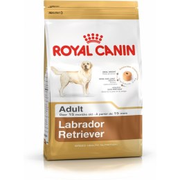 Karma Royal Canin Labrador Retriever Adult 12 kg Dorosły Ptaki 20-40 Kg