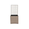 Doniczka Home ESPRIT polipropylen Rattan 48 x 52 x 114 cm