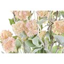 Roślina Dekoracyjna DKD Home Decor Wazon 20 x 20 x 78 cm Porcelana Różowy PVC (2 Sztuk)