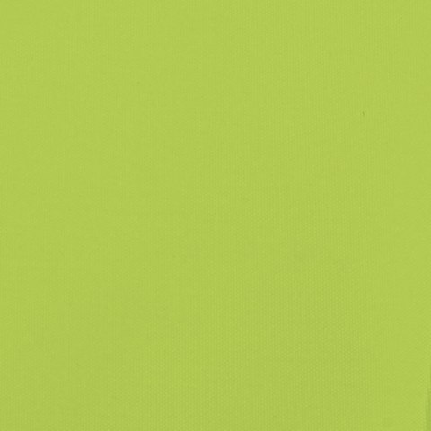 Przyczepka rowerowa, czarno-zielona, 45 kg, żelazo