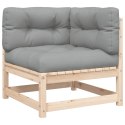 2-osobowa sofa ogrodowa z poduszkami, lite drewno sosnowe