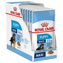 Mokre jedzenie Royal Canin Maxi Puppy 10 x 140 g