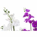 Kwiaty Dekoracyjne DKD Home Decor 44 x 27 x 77 cm Liliowy Biały Kolor Zielony Storczyk (2 Sztuk)