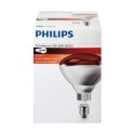 Żarówka do oświetlenia na podczerwień Philips 923212043801 250 W E27