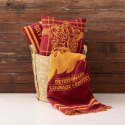 Koc Harry Potter Gryffindor Values Wielokolorowy 130 x 2 x 170 cm