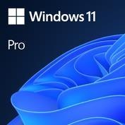 SW OEM WIN 11 PRO 64B/ENG 1PK FQC-10528 MS