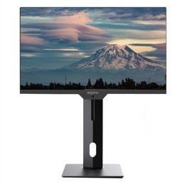 Monitor approx! APPM24SWBV2 24