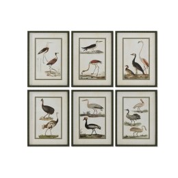 Obraz Home ESPRIT Ptaki Cottage 40 x 2,5 x 54 cm (6 Sztuk)