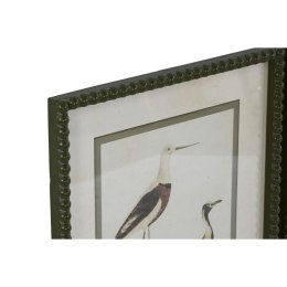 Obraz Home ESPRIT Ptaki Cottage 40 x 2,5 x 54 cm (6 Sztuk)