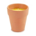 Świeca Citronella 8 x 8 x 8 cm (12 Sztuk)