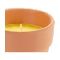 Świeca Citronella 8 x 8 x 8 cm (12 Sztuk)