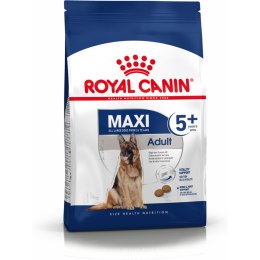 Karma Royal Canin Maxi Adult 5+ Dorosły Ptaki 15 kg