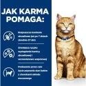 Karma dla kota Hill's PD C/D Urinary Care kurczak 3 Kg