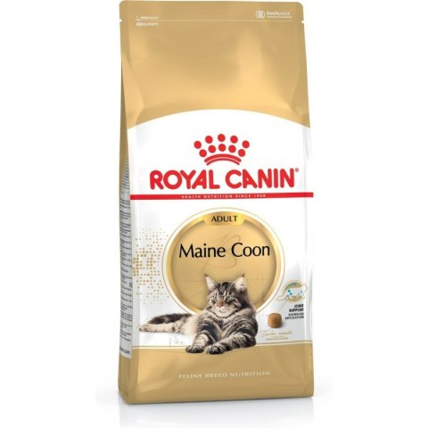 Karma dla kota Royal Canin Dorosły 4 Kg kurczak