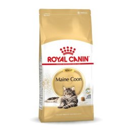 Karma dla kota Royal Canin Maine Coon Adult + 1 Rok Dorosły Ptaki 10 kg