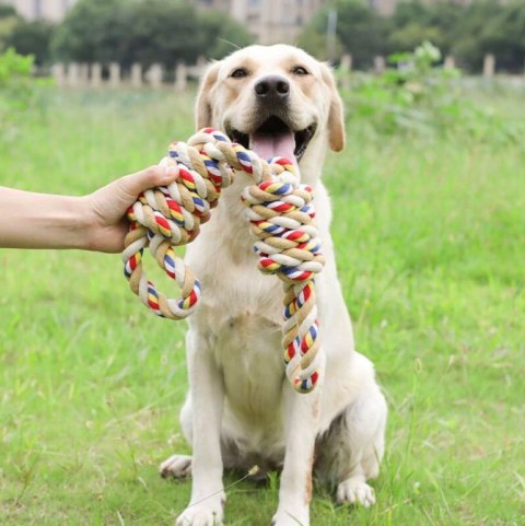 Zabawka szarpak z supłami dla psa WALLY 60 cm