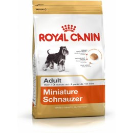 Karma Royal Canin Miniature Schnauzer Dorosły kurczak Ptaki 3 Kg