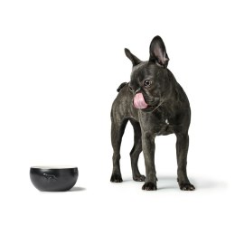Karmnik dla psów Hunter Czarny Ceramika Silikon 900 ml Nowoczesny