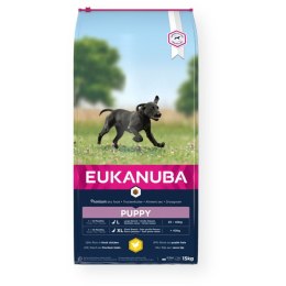 Karma Eukanuba Puppy Szczeniak/Junior kurczak 15 kg