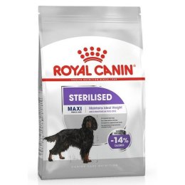 Karma Royal Canin 12 kg Dorosły Ptaki