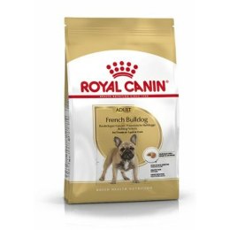 Karma Royal Canin French Bulldog Dorosły Świnia 9 kg