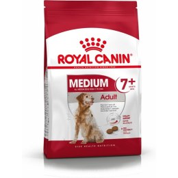 Karma Royal Canin Medium Senior kurczak Ryż Ptaki 15 kg