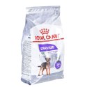 Karma Royal Canin Mini Sterilised Dorosły kurczak 3 Kg