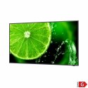 Monitor NEC 60005052 49" IPS LED