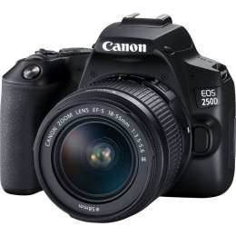 Aparat Reflex Canon EOS 250D + EF-S 18-55mm f/3.5-5.6 III