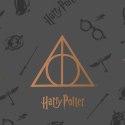 Narzuta Harry Potter Deathly Hallows Wielokolorowy Łóżko 150 cm