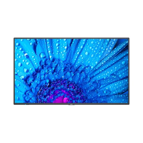 Monitor NEC 60005061 65" IPS D-LED 60 Hz 50-60 Hz 65"