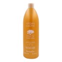 Szampon Argan Sublime Farmavita - 250 ml