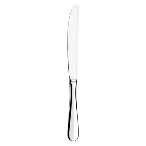 Zestaw noży Amefa Baguette Metal 23,5 cm (12 Sztuk)