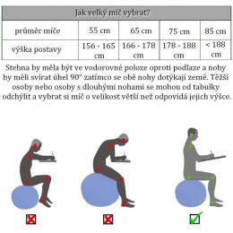 MOVIT Piłka gimnastyczna z pompką, 75 cm, szara