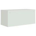 VidaXL File Cabinet Light Gray 35.4"x15.7"x70.9" Steel