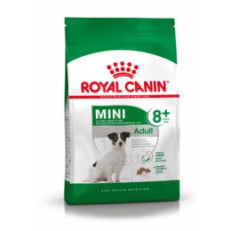 Karma Royal Canin Mini Adult 8+ Dorosły Kukurydza Ptaki 2 Kg