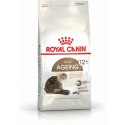 Karma dla kota Royal Canin Senior 2 Kg kurczak