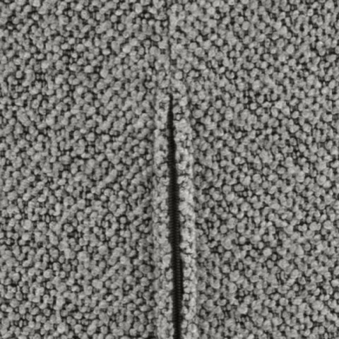 Krzesło Patricia szare